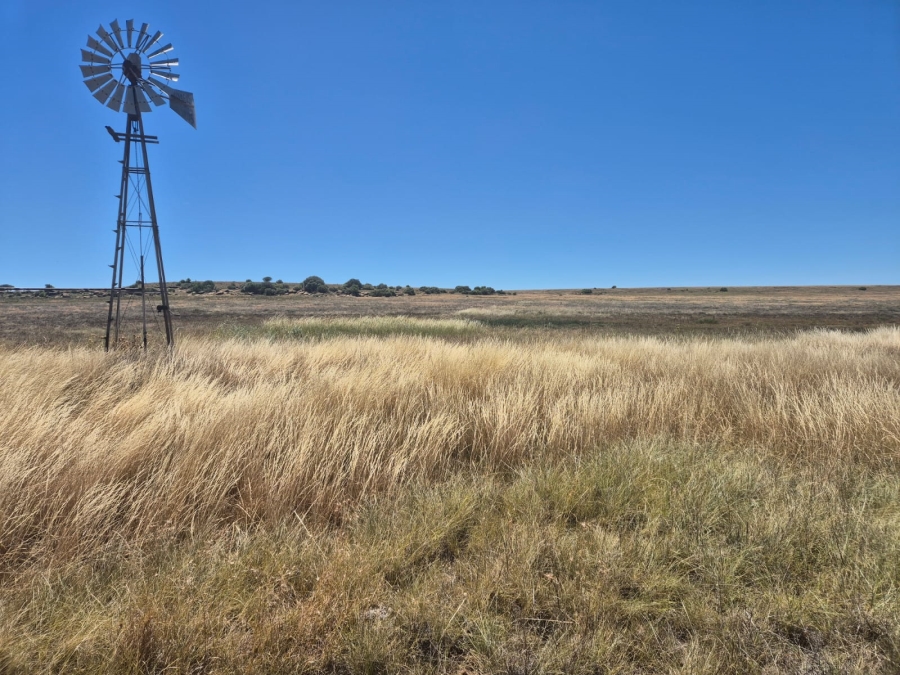 0 Bedroom Property for Sale in Edenburg Rural Free State